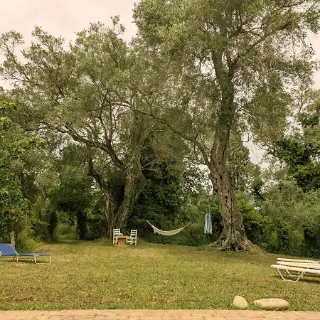 Pelaghia Vacation *
